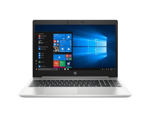 Ноутбук HP ProBook 455 G7 (2D235EA)