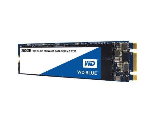 SSD 250GB WD WDS250G2B0B