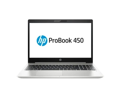 Ноутбук HP ProBook 450 G6 (4SZ45AV/TC3)