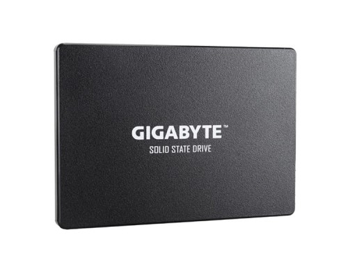 SSD 256GB Gigabyte GP-GSTFS31256GTND