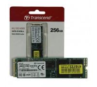 SSD 256GB Transcend TS256GMTS830S