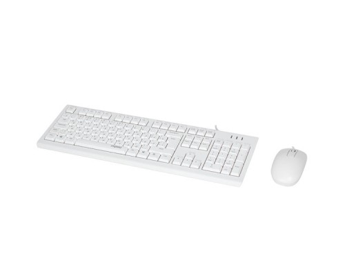 Комплект Клавиатура + Мышь, Rapoo, X120PRO, Белый