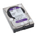 HDD 6Tb Western Digital Purple (WD62PURZ)